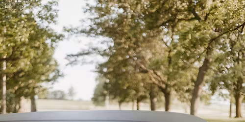 Noah & Abbey\u2019s Stag and Doe