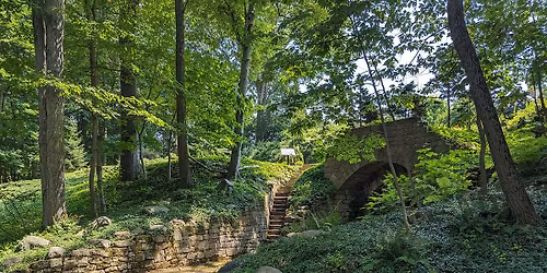 Guided Forest Therapy