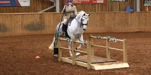 Working Equitation Training clinic