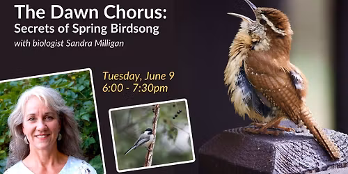 The Dawn Chorus: Secrets of Spring Birdsong