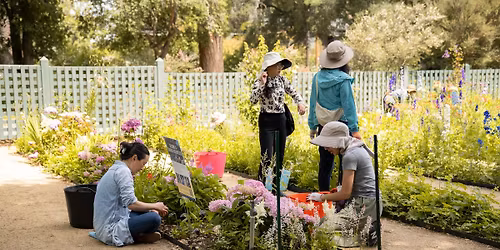 Gardeners' Hour
