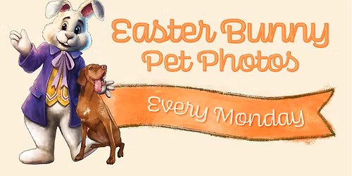 Pet Photos with the Easter Bunny at York Galleria