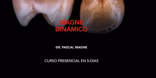 MAGNE DINAMICO (SPANISH)