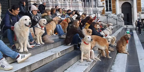 Natale a spasso con i Golden Retriever a Genova 2025