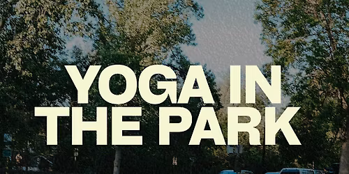 Yoga In The Park