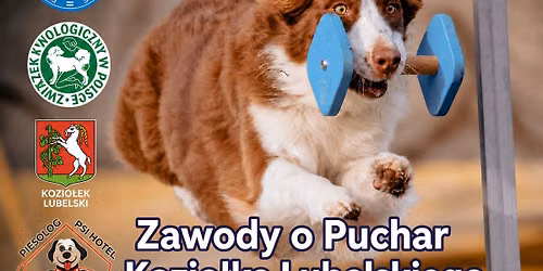 Zawody o puchar Kozio\u0142ka Lubelskiego , Obedience kl.O i 1 , egzaminy PT1