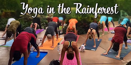 Yoga @ Butterfly Wonderland
