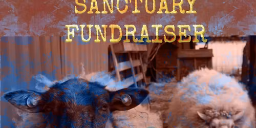 Dyrenes Oase Fundraiser