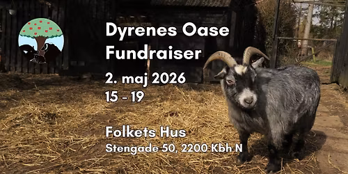 Dyrenes Oase Fundraiser