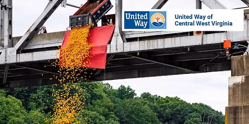 The Great Rubber Duck Race