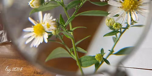 Winter Solstice Native Plants Workshop 2025