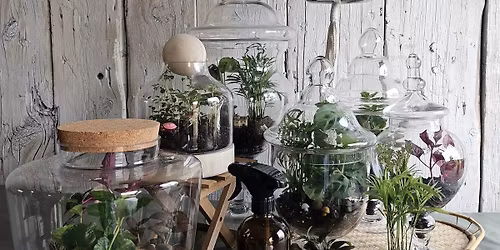 Terrarium Workshop