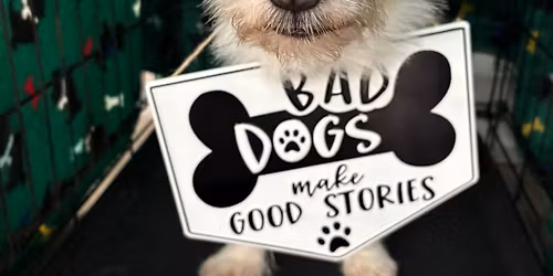 Basic Obedience Class at RiverRun