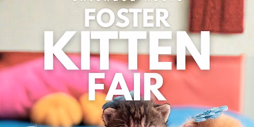 Foster Kitten Fair