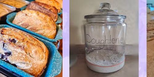 Doughlene's Delights at Sunday Social Market