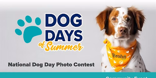 Dog Days of Summer at Brohn Homes - Houston