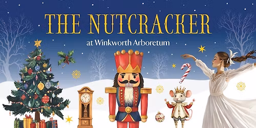 The Nutcracker at Winkworth Arboretum