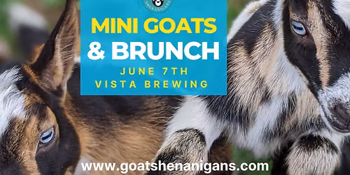 Baby Goats & Brews