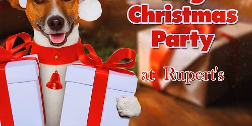 Dog Christmas Party at Rupert's