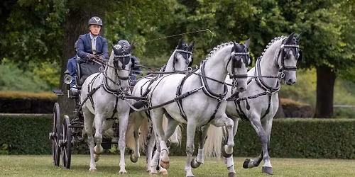 Trening\/Clinic med fyrspanns kusk Axel Olin