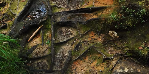 Systemic and Family Constellations Workshop