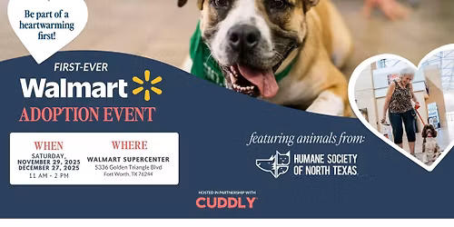 Walmart Adoption Event | CUDDLY & HSNT