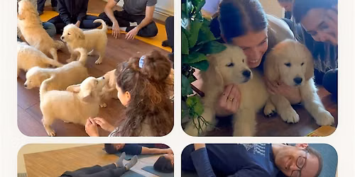 Puppy Yoga Pop-Up \u2022 Sat, June 13 \u2022 9:00 AM