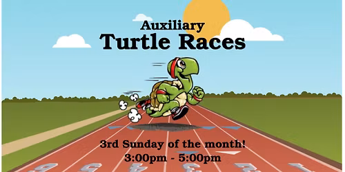 Auxiliary Turtle Races