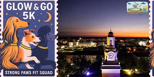 Glow and Go Round 2 Strong Paws Fit Squad November Meetup 