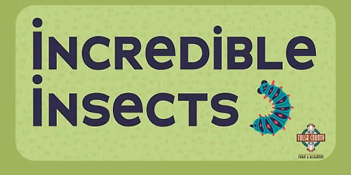 Incredible Insects