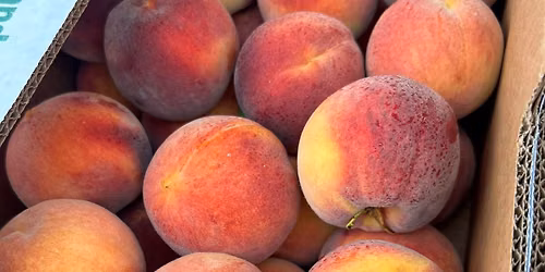 August 8th Market