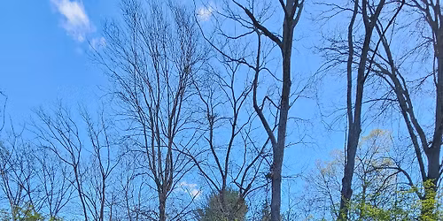 Spring Planting Volunteer Events