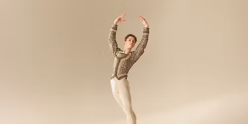 Professional Division Audition