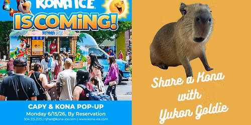 Capy & Kona Ice Pop-Up Cafe