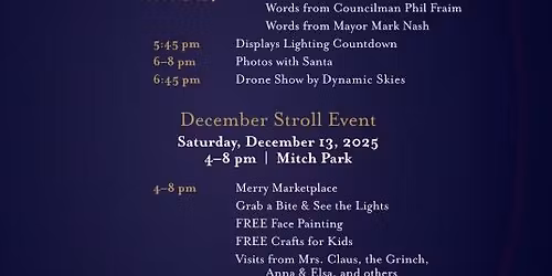 Luminance: An Enchanted December Stroll