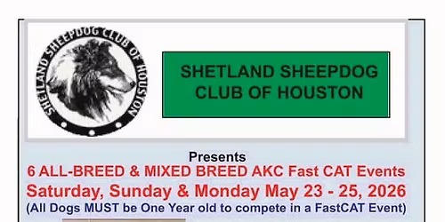 AKC Fast CAT