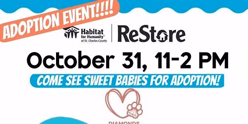 Adoption Event at ReStore , St Charles