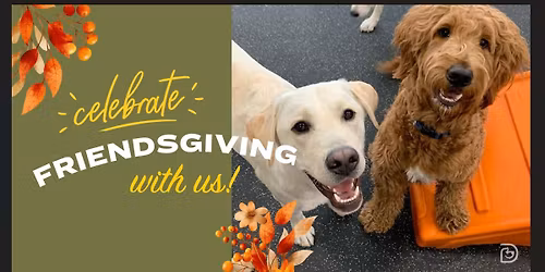 Friendsgiving * November 22nd