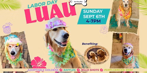 Labor Day Luau Foam Pawty at Dog Bar Sarasota