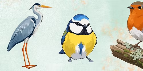 Family Fun | Brilliant Birds! \ud83d\udc26