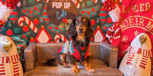  Leeds - Dashing Dachshund Christmas Tour \ud83c\udf84