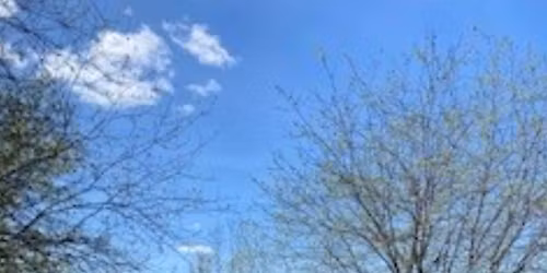 Dagstur p\u00e5 Ottestadstiene - rundtur i Stange