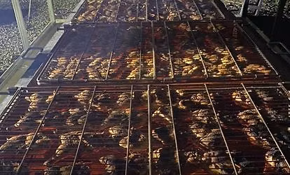 CHICKEN BBQ