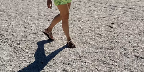 West Palm Beach Fine Art Show