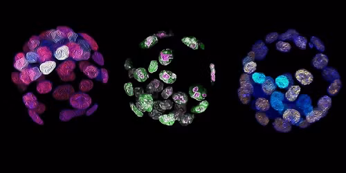 Special seminar - John Archibald - MONDAY!!