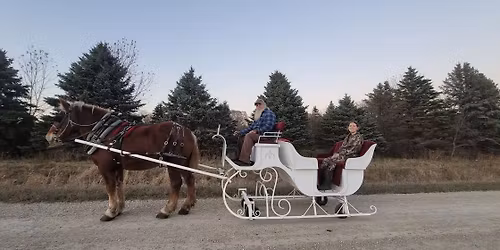 Duluth Christmas parade