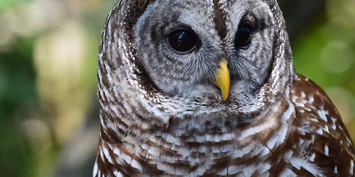 History Takes Flight