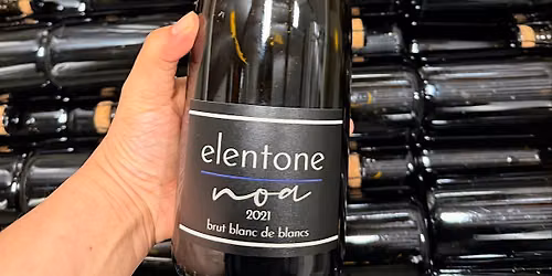 Pop & Pair: Celebrating American Sparkling Wine Day with Elentone