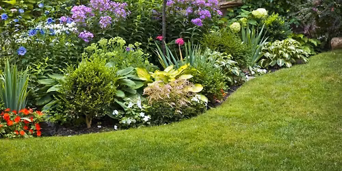 MB Garden Club Presentation: Rain Gardens - A Beautiful Solution to Runoff and Pollution