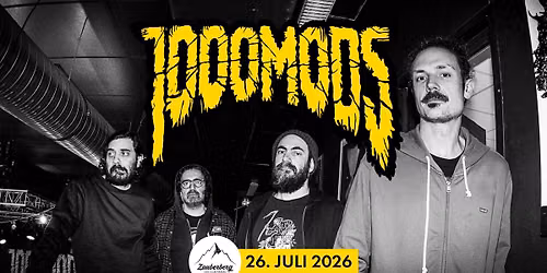 1000mods + The Delayed live in Passau!